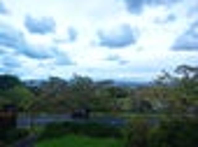Onehunga, 2 bedrooms, $530 pw