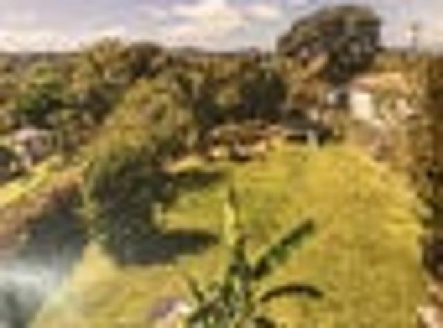 Oneroa, 3 bedrooms, $818 pw