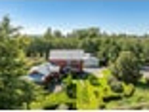 Ongaonga, 3 bedrooms, $690 pw