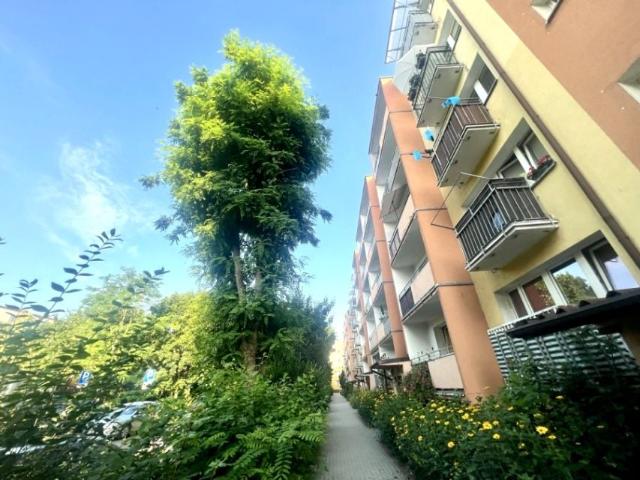 OS. ZACHÓD 53 m², Stargard