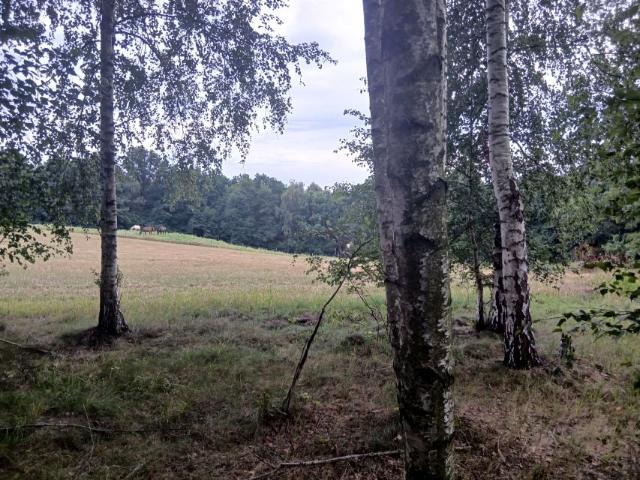 Os. Na Stoku 9 097 m², Mikołów