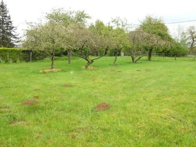 Osny Vente Terrain 95