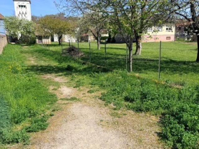 Osenbach Vente Terrain 68
