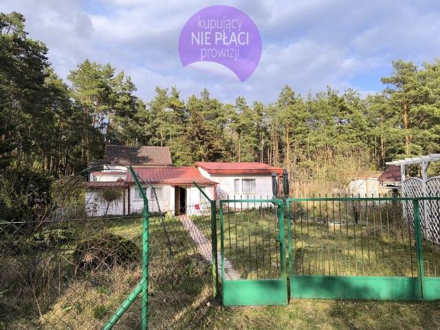 Łosie, 55 m2