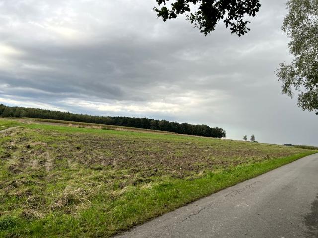 Osiedlowa 576 m², Wilkowiczki