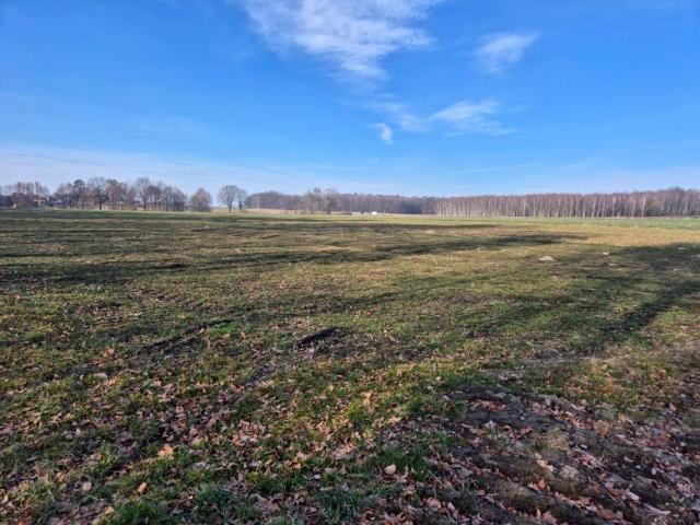 Osiedlowa 907 m², Wilkowiczki