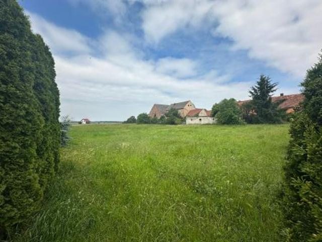 Osiek, 2300 m² Działka