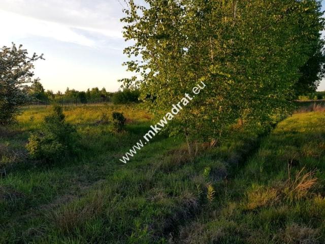 Ossolińskich 1 500 m², Radziejowice