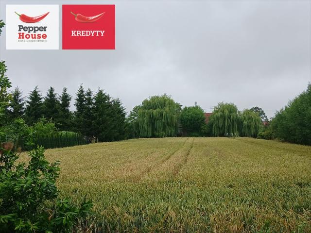 Działka budowlana 1140 m² w Ostaszewie – gotowa do inwestycji