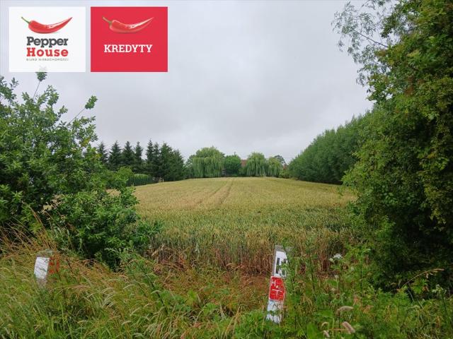 Działka budowlana 1149 m² w Ostaszewie – gotowa do inwestycji