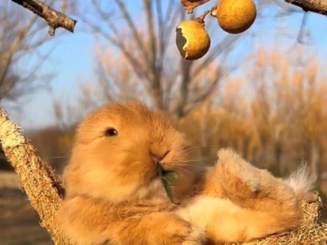 Ab Oktober: Exklusives Appartement zur Kurzzeitmiete mit Terrasse und Seezugang in Krumpendorf