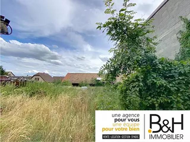 Osthoffen 67990 Achat / Vente terrain