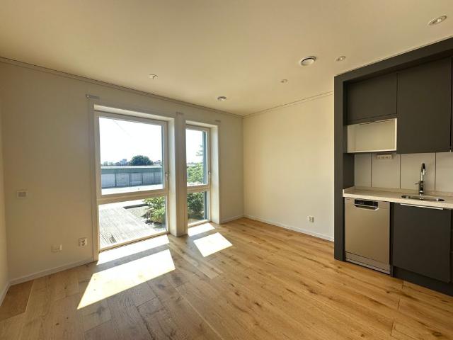 Östra sandgatan 3B 1 rok lgh 1502
