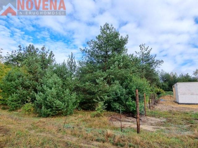 Ostrowina, działki wśród drzew 1 938 m², Ostrowina