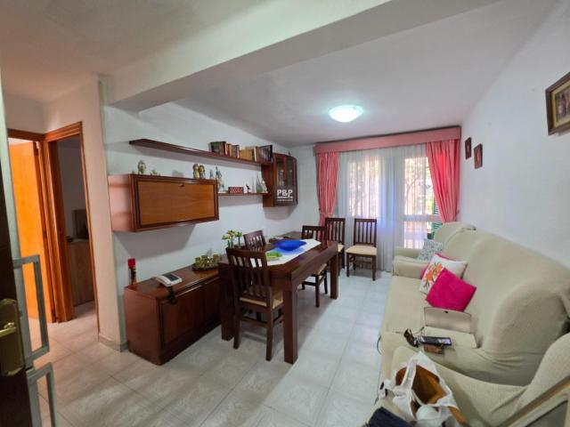 OP0RTUNIDAD PISO SON GOTLEU