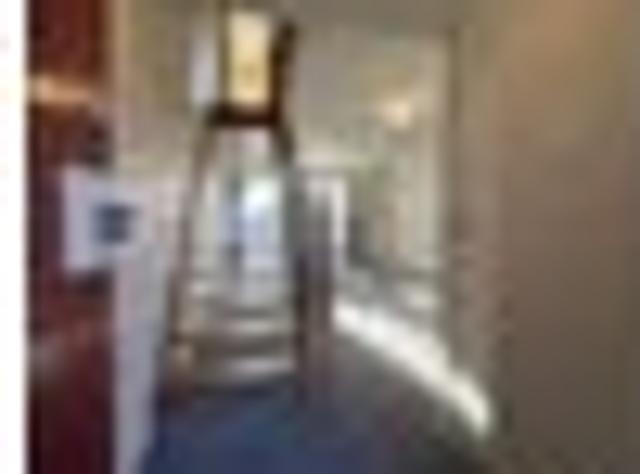Opoho, 2 bedrooms, $465 pw