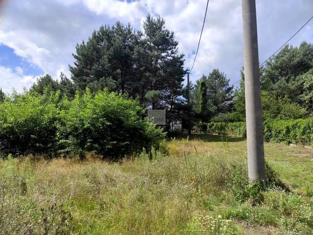 Opolska 1 015 m², Nowe Załubice
