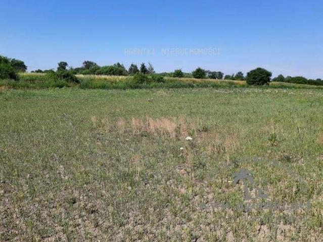 Opolska 24 083 m², Groblice