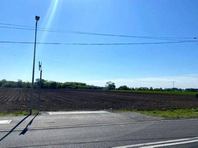 Opolska 21 800 m², Dziekaństwo