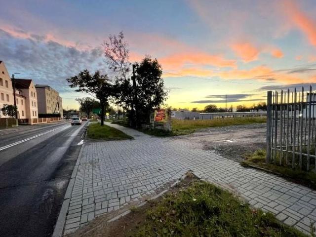 Opolska 939 m², Niemodlin