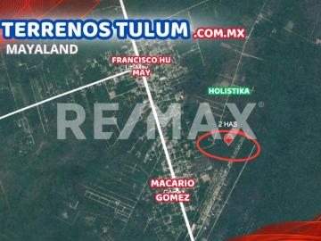 Oportunidad 4,050 m2 en Macario Gomez