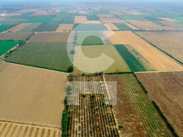 Oportunidad! Terreno agrícola de 20,000 m2 al Sur de Lima, Imperial Cañete