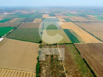 Oportunidad! Terreno agrícola de 20,000 m2 al Sur de Lima, Imperial Cañete