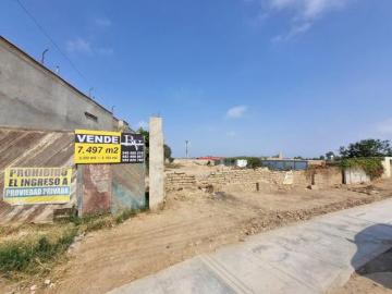 OPORTUNIDAD TERRENO AGRICOLA