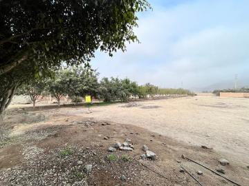 OPORTUNIDAD TERRENO EN CONDOMINIO ASOC AGRICOLA LOS HUERTOS DE CIENEGUILLA
