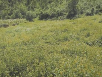 ¡Oportunidad terreno en venta! En El Corazón Del Valle Sagrado
