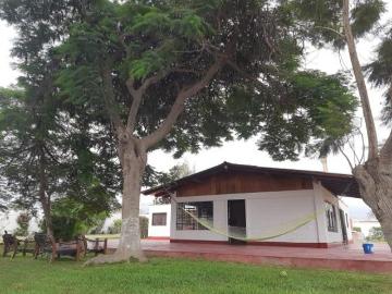 ¡Oportunidad Única! 9900m2 A.T. con Casa de Campo–¡Tu Proyecto Soñado Te Espera!