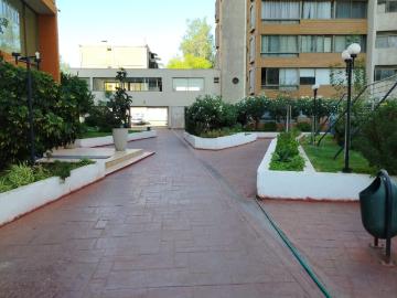 Oportunidad Unica
