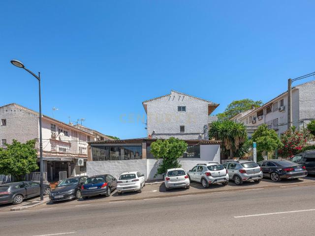 ¡Oportunidad única alquiler local comercial en La Campana, Nueva Andalucía!