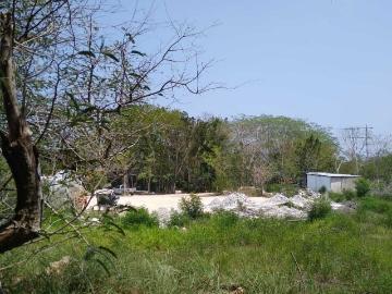 Oportunidad Unica de Terreno en Renta en Valladolid Yucatan