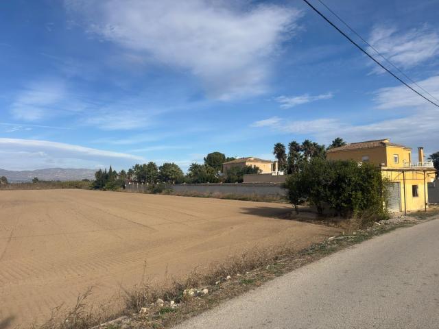 Oportunidad Única de Terreno Rural en Catral Arroba La Madriguera