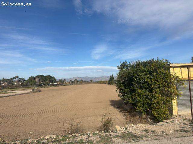 Oportunidad Única de Terreno Rural en Catral Arroba La Madriguera