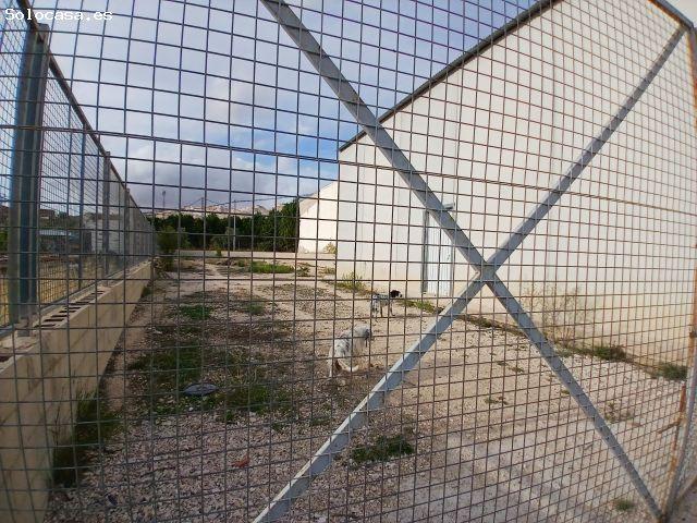 OPORTUNIDAD ÚNICA DE INVERSIÓN EN LA ALGUEÑA