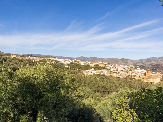 ¡Oportunidad única! Dos Fincas rústicas de mas de 15.000 m2 en total en Pinos del Valle Lecrín