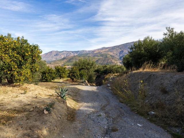 ¡Oportunidad única! Dos Fincas rústicas de mas de 15.000 m2 en total en Pinos del Valle. VENTA JUNTAS O SEPARADAS