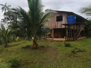 ¡Oportunidad única en la Amazonía! Finca de 50 hectáreas con recursos naturales y segunda propiedad con sembríos y galpón