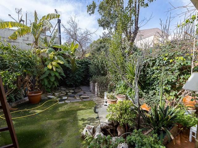 OPORTUNIDAD ÚNICA CON JARDIN EN PALMA