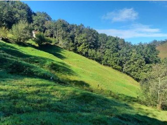 ¡OPORTUNIDAD ÚNICA EN SELAYA! Cabaña pasiega tradicional de 178m2 con luz, agua y acceso rodado dire
