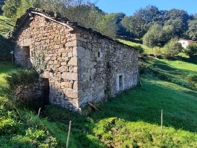 ¡OPORTUNIDAD ÚNICA EN SELAYA! Cabaña pasiega tradicional de 178m2 con luz, agua y acceso rodado directo en finca de 9.600 m2