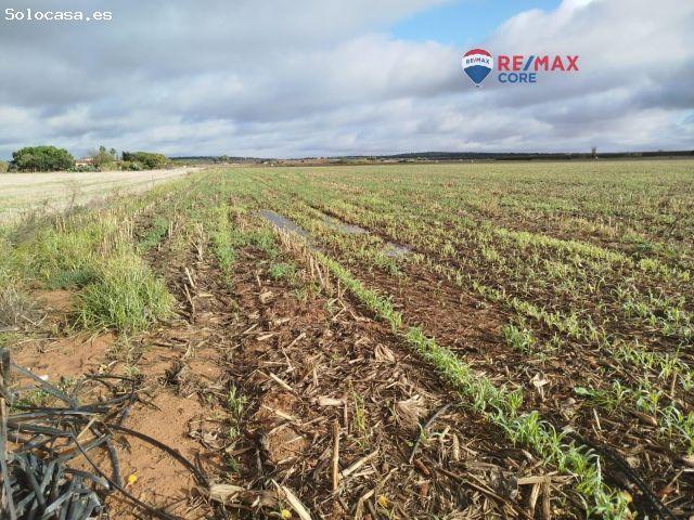 Oportunidad Única: Finca de Regadío de 30 Hectáreas al lado de Mérida
