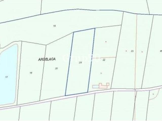 ¡Oportunidad única! Finca de regadío en venta en Alcoletge, Lleida