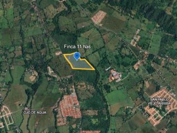 Oportunidad Única: Finca Reforestada con Alto Potencial de Inversión en Chiriquí