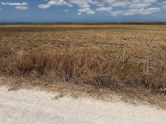 Oportunidad única: Finca rústica de 84.423 m2 en las afueras de Jerez