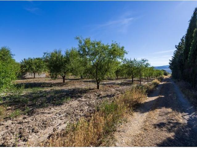 ? Oportunidad Única: Finca Rústica Productiva junto al Polideportivo de Dúrcal