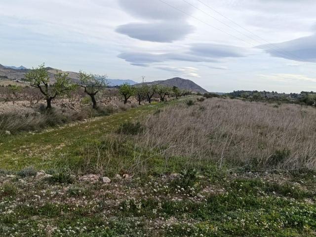 Oportunidad única para adquirir un terreno rústico en la tra. 0m² Hondón de las Nieves