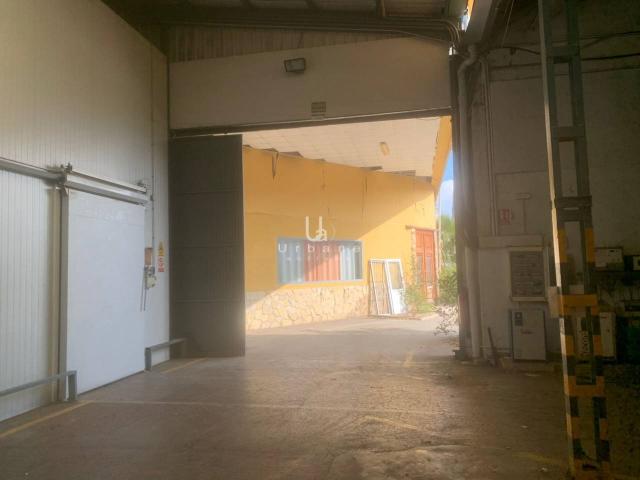 Oportunidad única para el sector